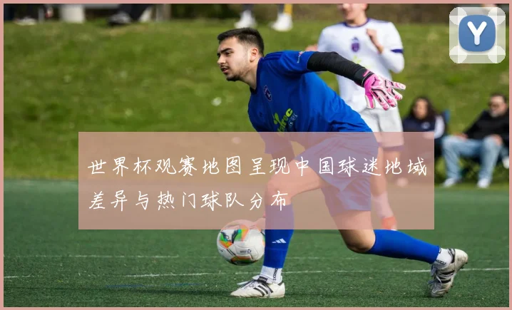 世界杯观赛地图呈现中国球迷地域差异与热门球队分布
