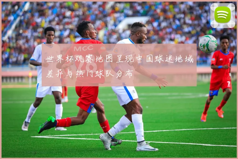世界杯观赛地图呈现中国球迷地域差异与热门球队分布